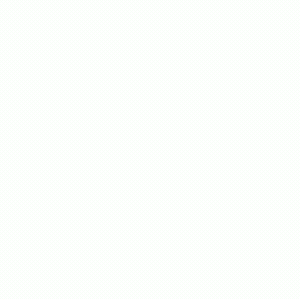 Bulk SMS Dashboard