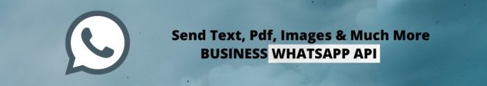 Send Images, Text, PDF and More through WhatsApp API