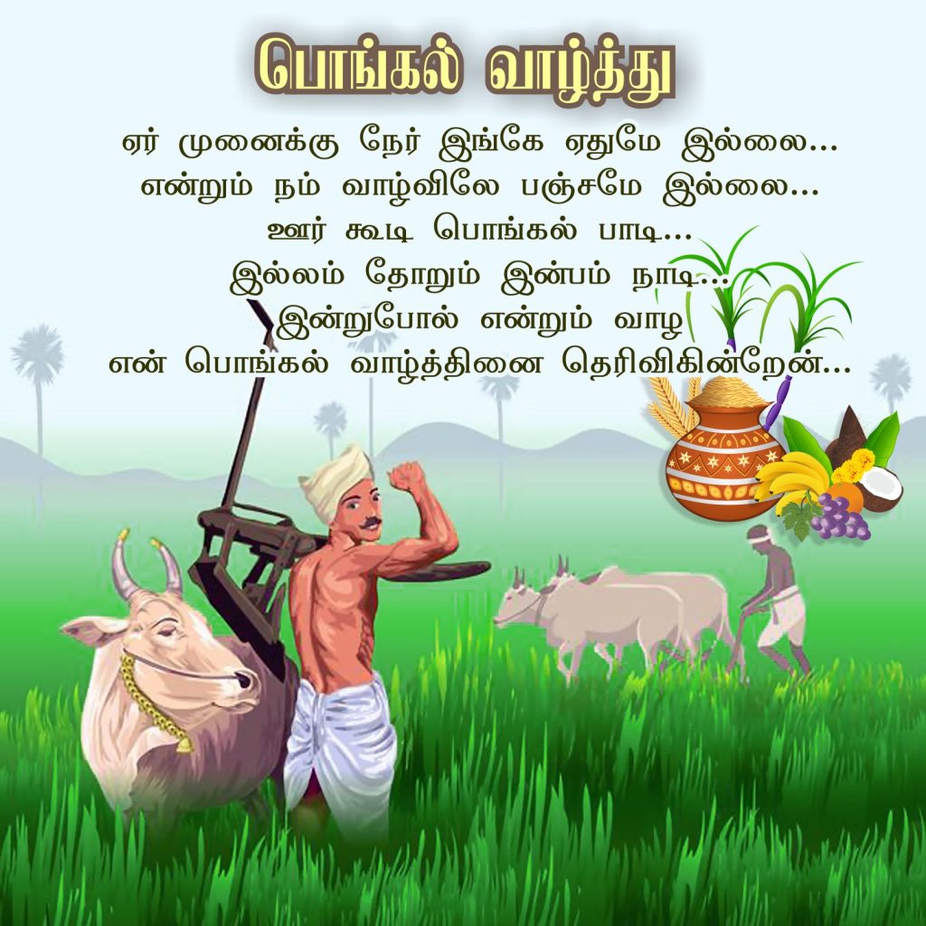 Pongal Wishes in Tamil 2025 Creativepoint